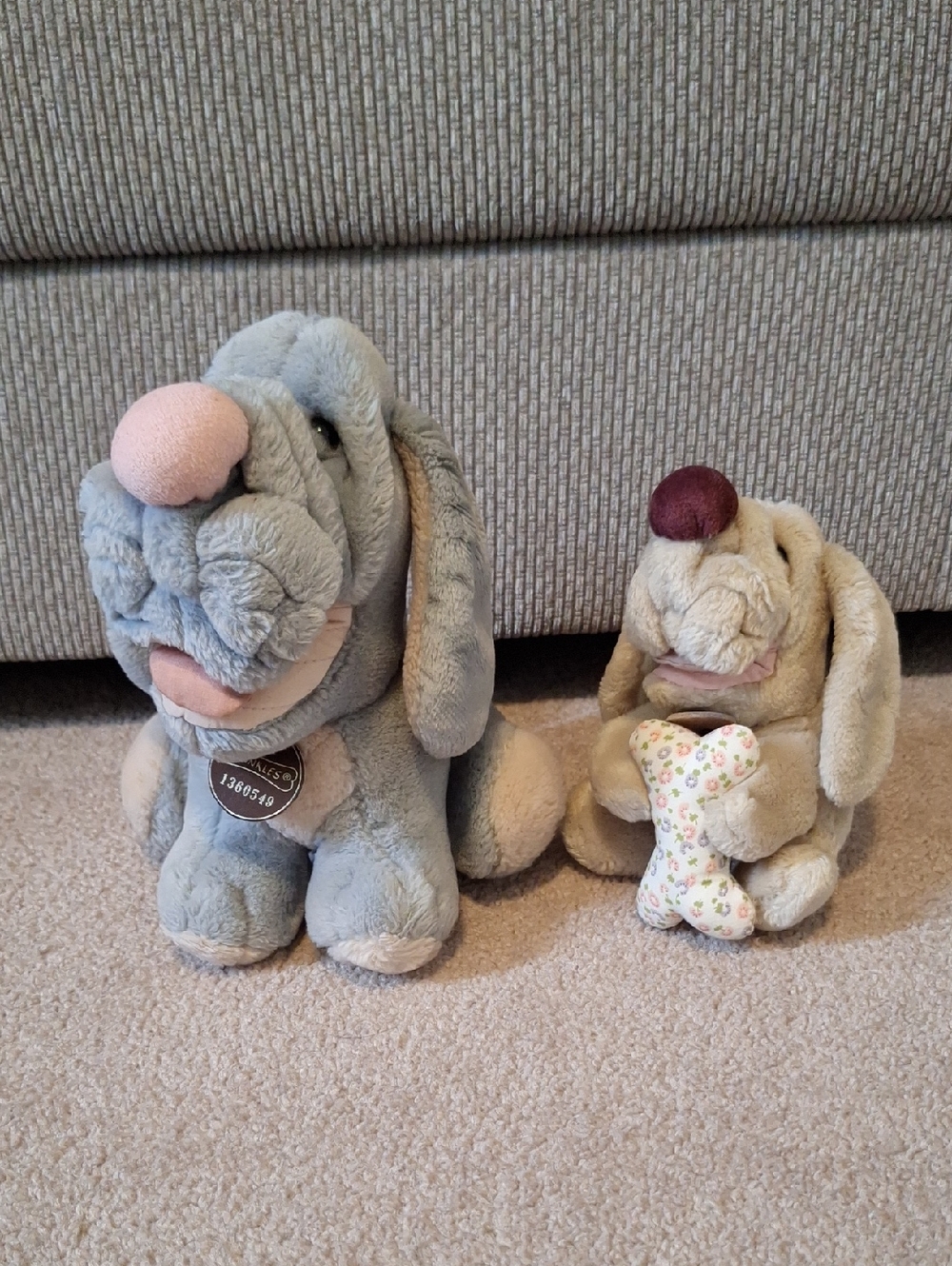 Wrinkle Dogs Set Of 2
